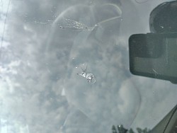 Windshield Repair